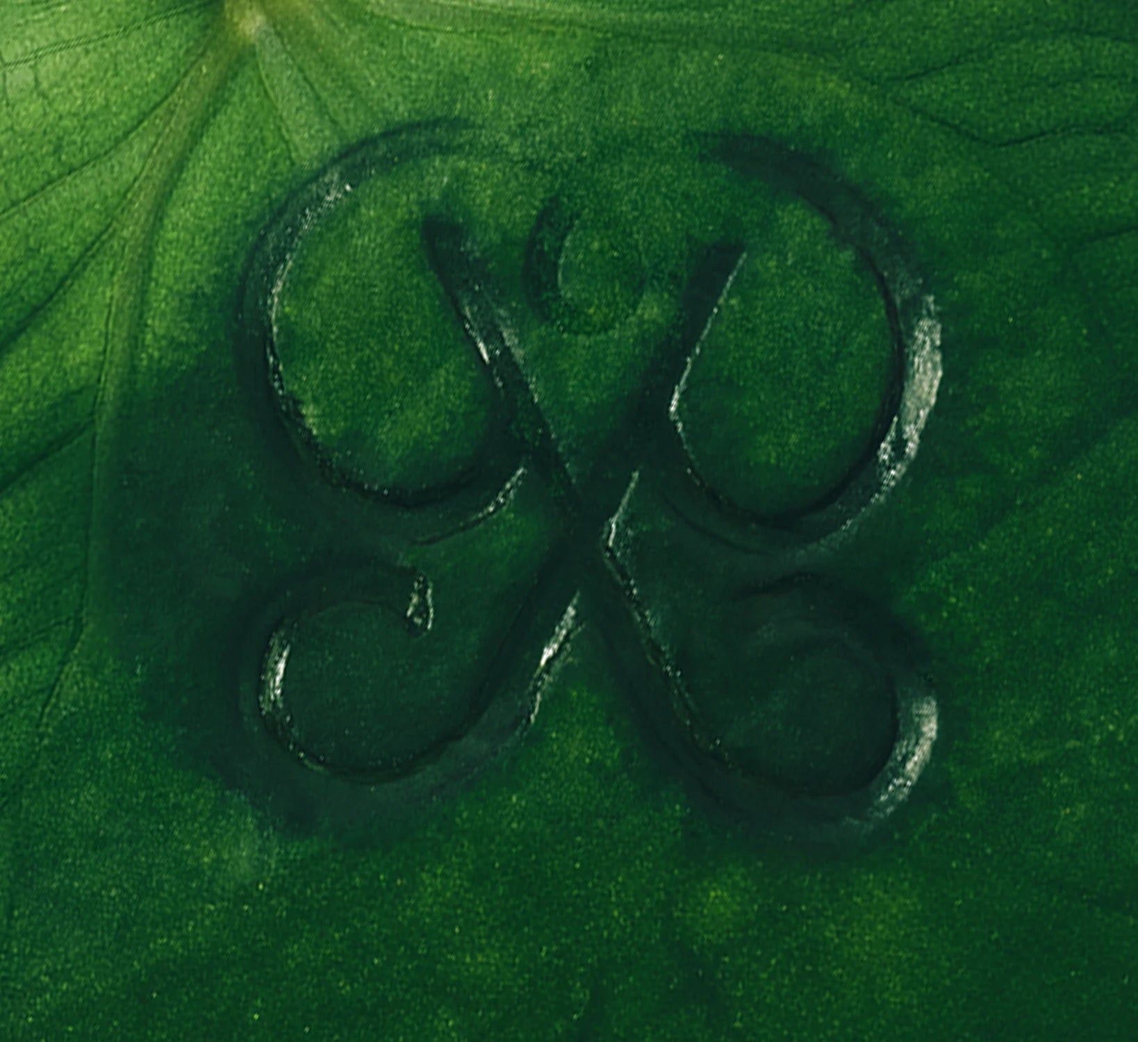 PDPAOLA | Gioielli da donna | Official Site image - PDPaola