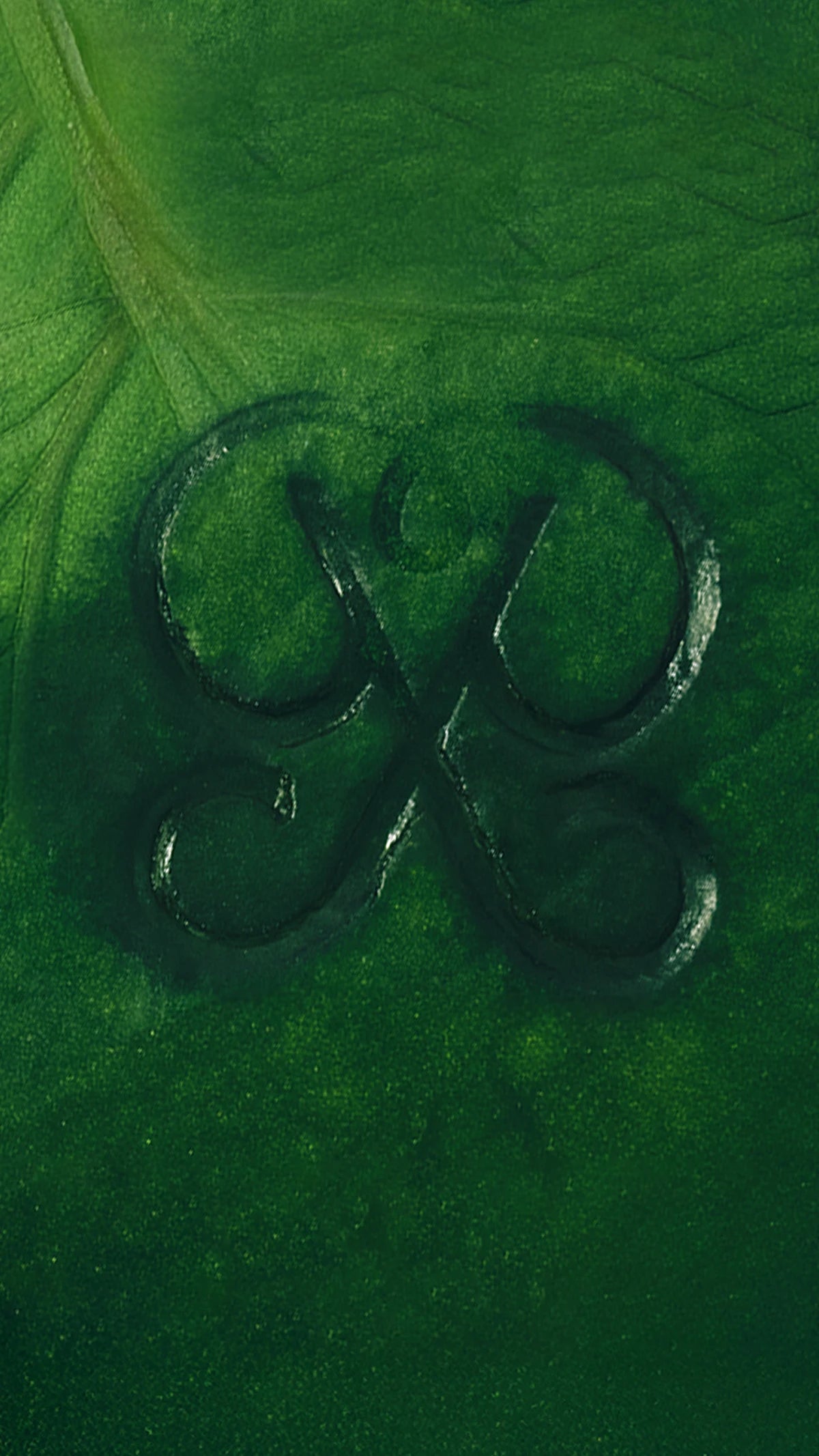 PDPAOLA | Gioielli da donna | Official Site image - PDPaola